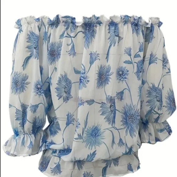 Sheer Floral white and blue off shoulder top - Picture 3 of 3